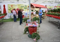 Summer Breeze created a relaxed atmosphere at the booth of ABZ Seeds.